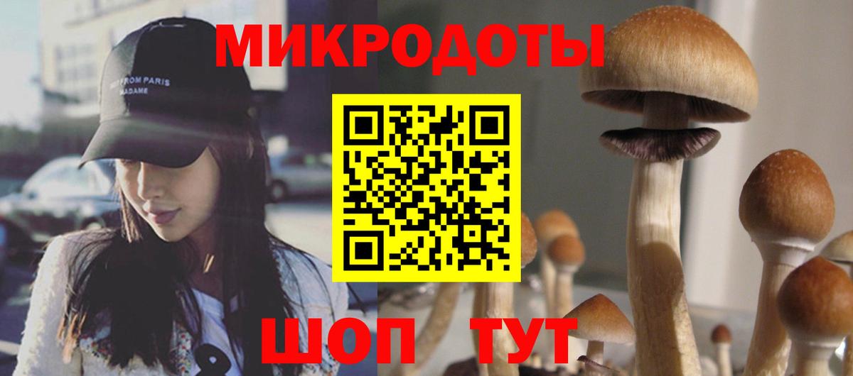 Галлюциногенные грибы мухоморы  Вход с VPN  Псилоцибиновые грибы Magic Shrooms  Вышний Волочёк 